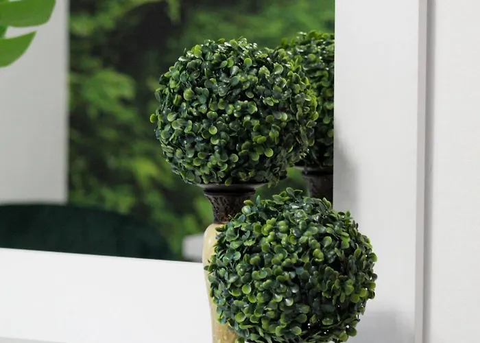 Paraiso Semesterbostad